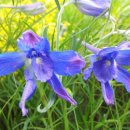 하이드어웨이성산 이미지