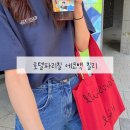 호텔파리칠(827) 브리지데이 에코백 노트북 들어가는 에코백 내돈내산 추천리뷰(착샷0)
