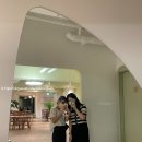 타세