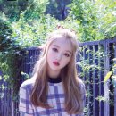 고원 - 23495 | 고원