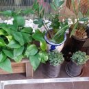 호텔카리브 이미지