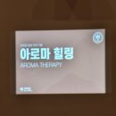 산속애견 이미지