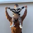 하울당