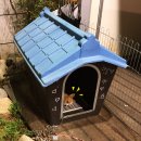 자명식당 이미지