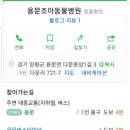 용문조아동물병원 이미지