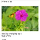 오늘의 小史 이미지