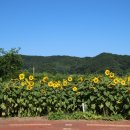 가야4리 이미지