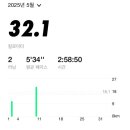 화성효마라톤 하프마라톤 후기!(섭2인데 등수가 이게 맞나!?!?)