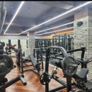 엠휘트니스 이미지