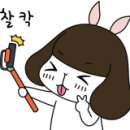 팍스코퍼레이션