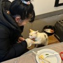 [태안 바다풍경카라반글램핑]태안카라반/카라반처음가본후기/바다뷰카라반/태안글램핑