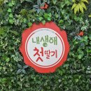창뜰농장 | 아산 딸기농장 [내생애첫딸기] 딸기따면서 무한시식가능