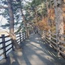 수산교(북쪽) Daum카페