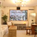 카페잎새달 (Cafe 잎새달) 이미지