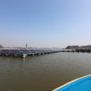 조암낚시터 이미지