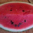 고산건강생활지원센터 이미지