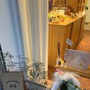 (12/1)나만의 향수 만들기 | 성수동 데이트 추천 자양동 향수공방 목향 | 나만의 향수 만들기 체험 후기