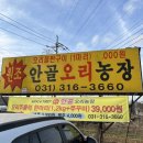 안골농장 | [시흥/계수동] 시흥 계수동 오리주물럭 맛집 ‘안골오리농장’