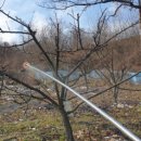 대풍목장 이미지