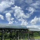 중사지농장 이미지