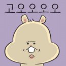 광주안과의원 이미지