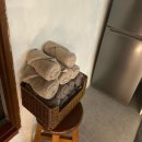 아담다락 이미지