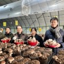 행정농장 이미지