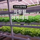 광주 스마트팜 체험 자람팜 아카데미 다녀온 후기