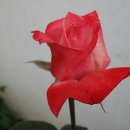 이야기보따리 이미지