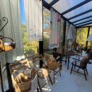 지금여기카페샵 이미지