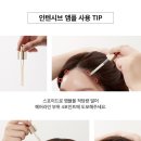 까멜리아살롱