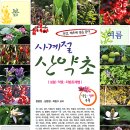 우리산약초 이미지