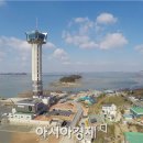 백제로 가로수 식재사업 이미지