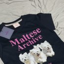 와이케이 더블유 이미지