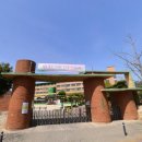 월봉초등학교병설유치원 이미지