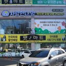 진이애견 이미지