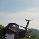 저구망산등산로 | 나홀로 거제도1박2일 여행 (2편)