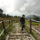 반야봉산장 이미지