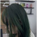 레벨살롱