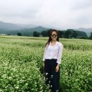 엄마랑 강원도여행:봉평메밀꽃축제/효석문화제 다녀왔어용:)