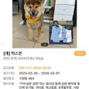해맑은동물병원 이데일리
