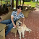 G00162 | 이탈리아 여행 6일차(소렌토-나폴리-로마-키우시-사르테아노, La Sovana Agriturismo)