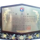 신바람돈바람 이미지