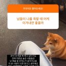 정신
