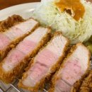 가월돈까스 창원중앙역점 이미지