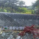 모든날오토캠핑장 | 고성 모든날캠핑장 B3 타프존 (사이트 사진, 명당 추천)