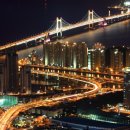 부산애견팡팡 이미지