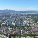 반려하다 이미지