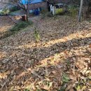 인천2리 경로당 이미지