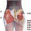머슬96짐 이미지